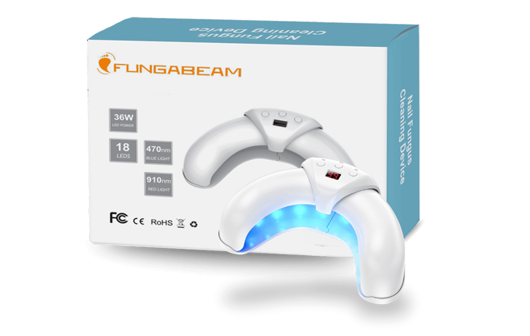FungaBeam